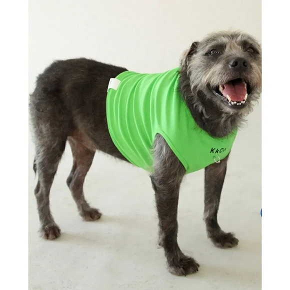 Kkco Pierced Pet Tank in lime - Picture 1 of 9